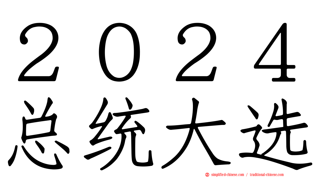 ２０２４总统大选