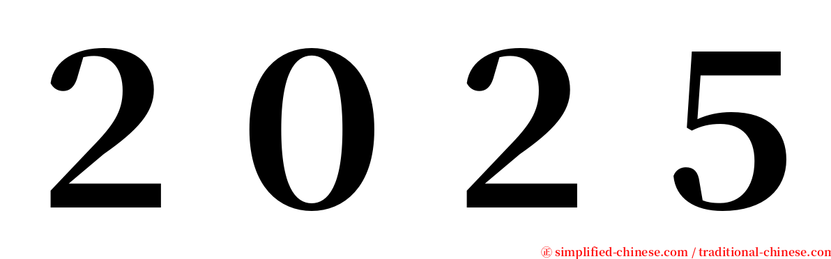 ２０２５ serif font