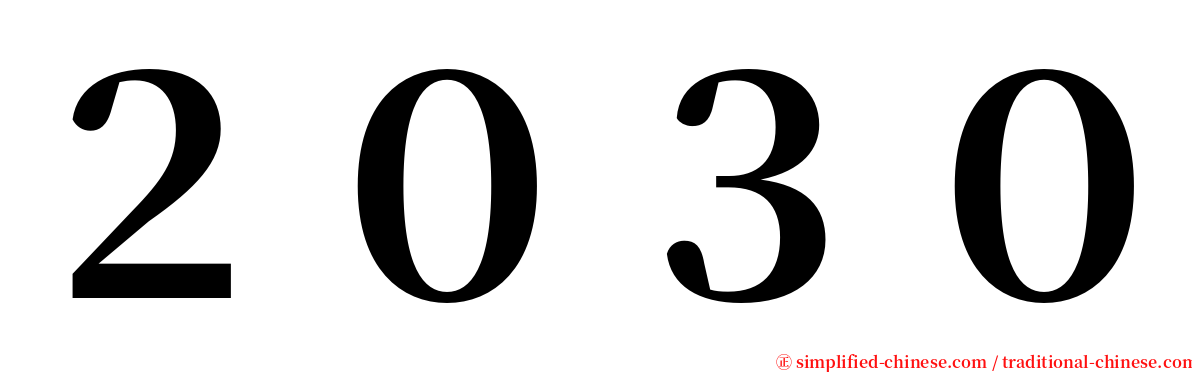 ２０３０ serif font