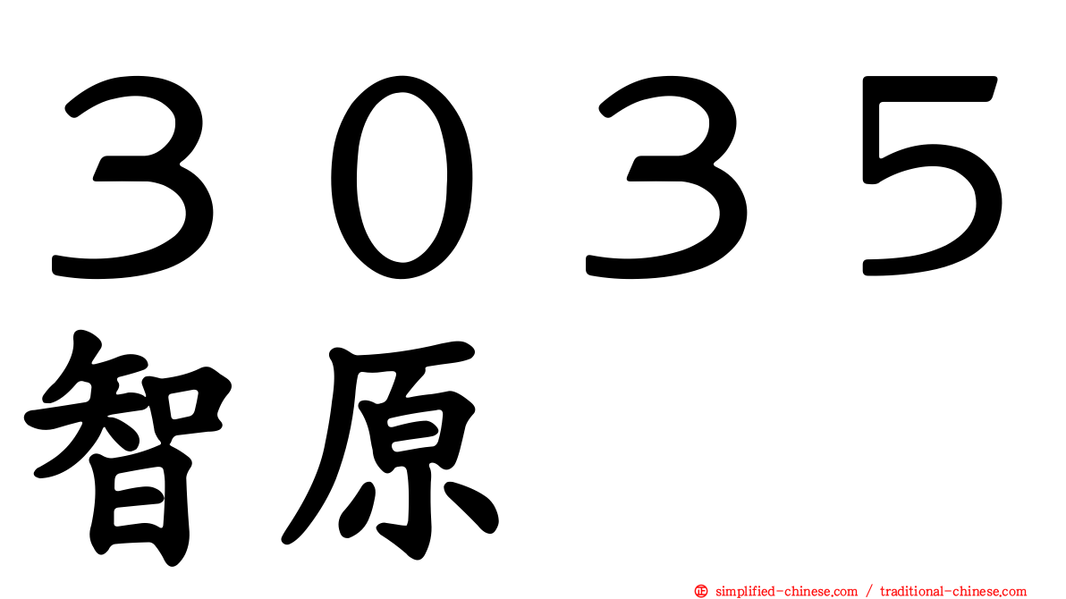 ３０３５智原