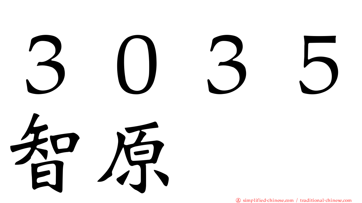３０３５智原