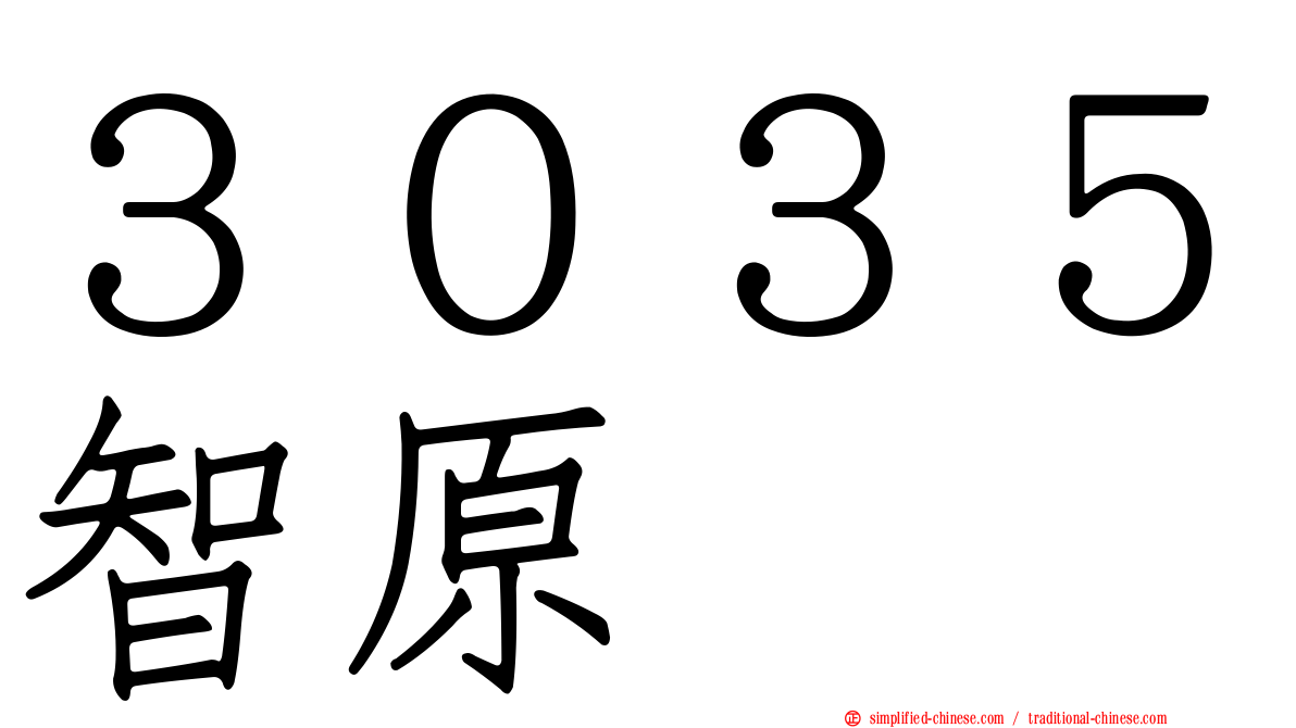 ３０３５智原