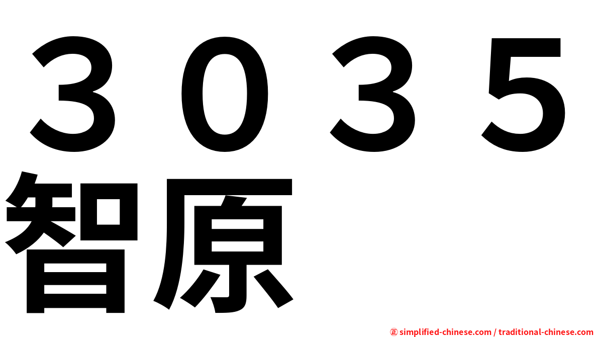 ３０３５智原