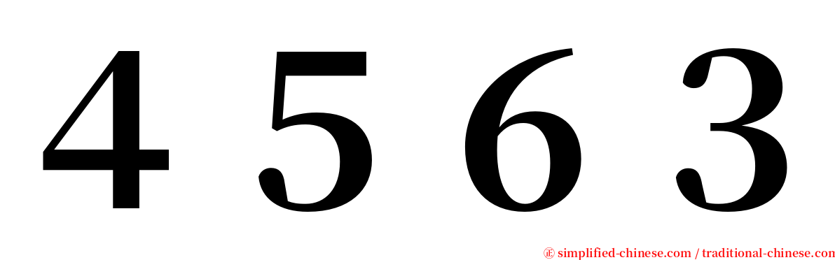 ４５６３ serif font