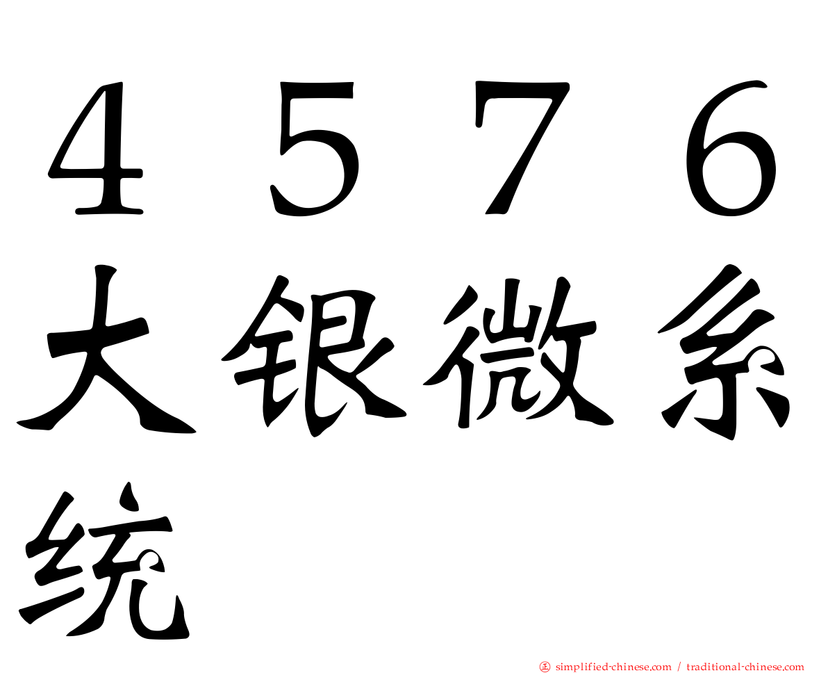 ４５７６大银微系统
