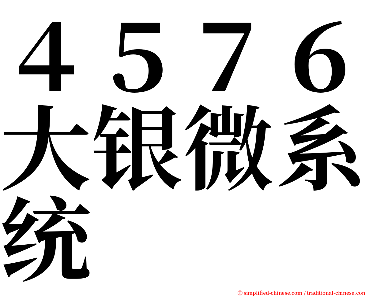 ４５７６大银微系统 serif font