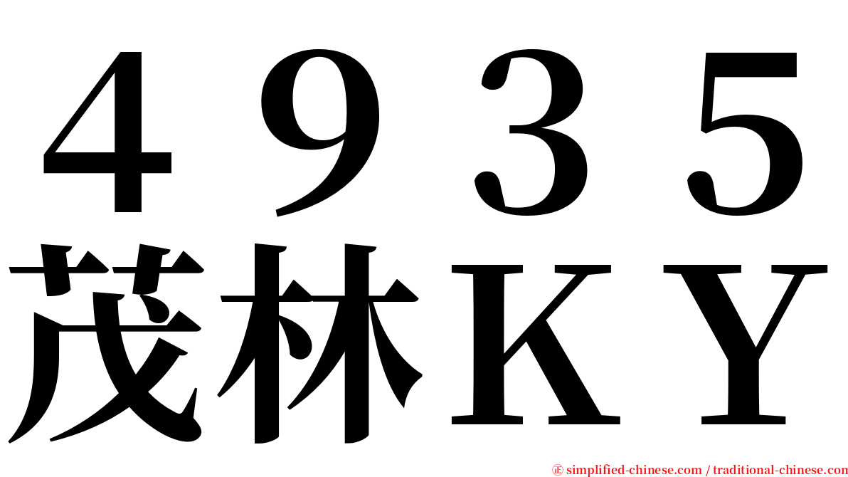 ４９３５茂林ＫＹ serif font