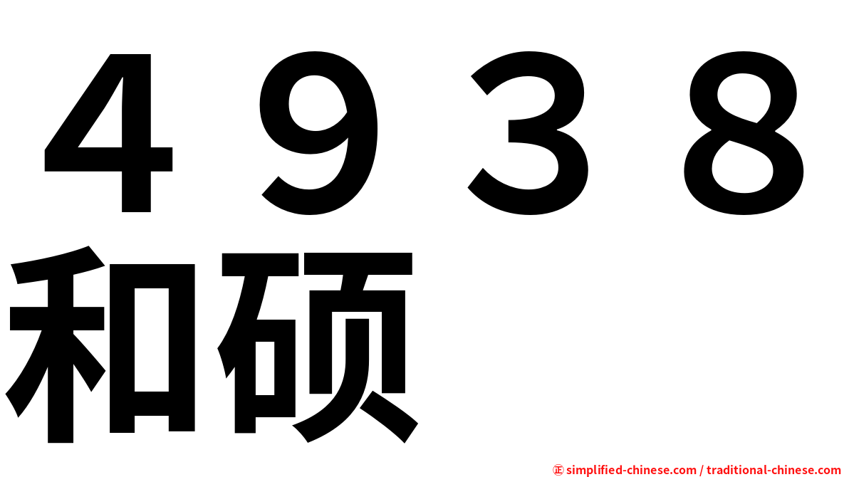 ４９３８和硕