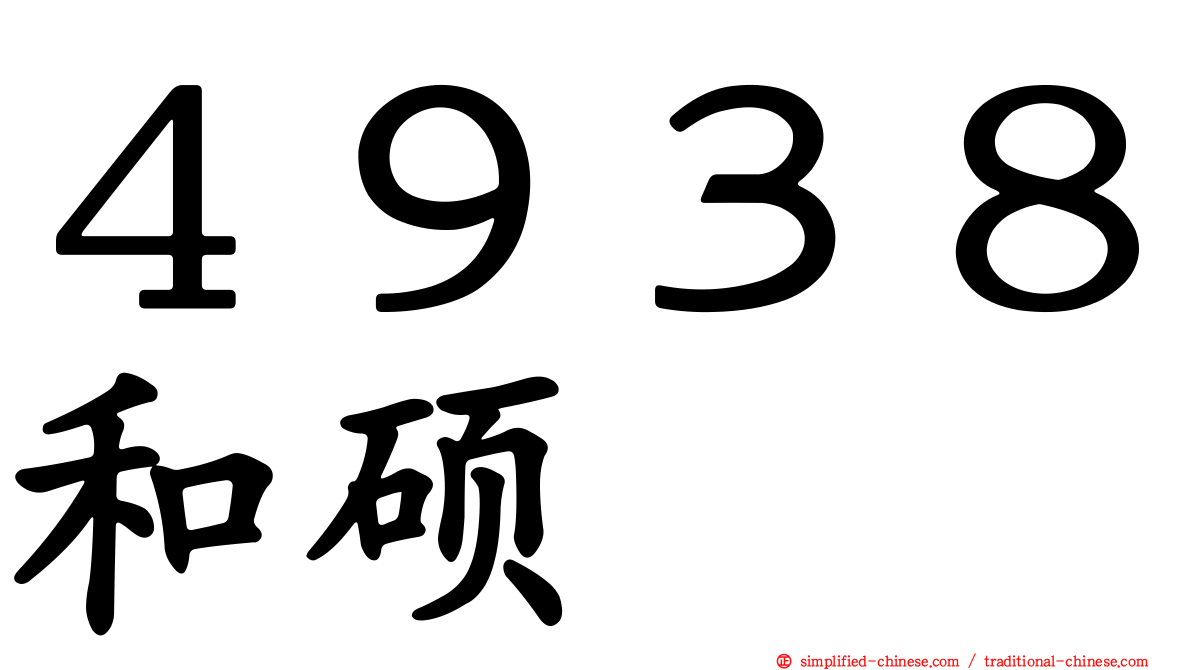４９３８和硕
