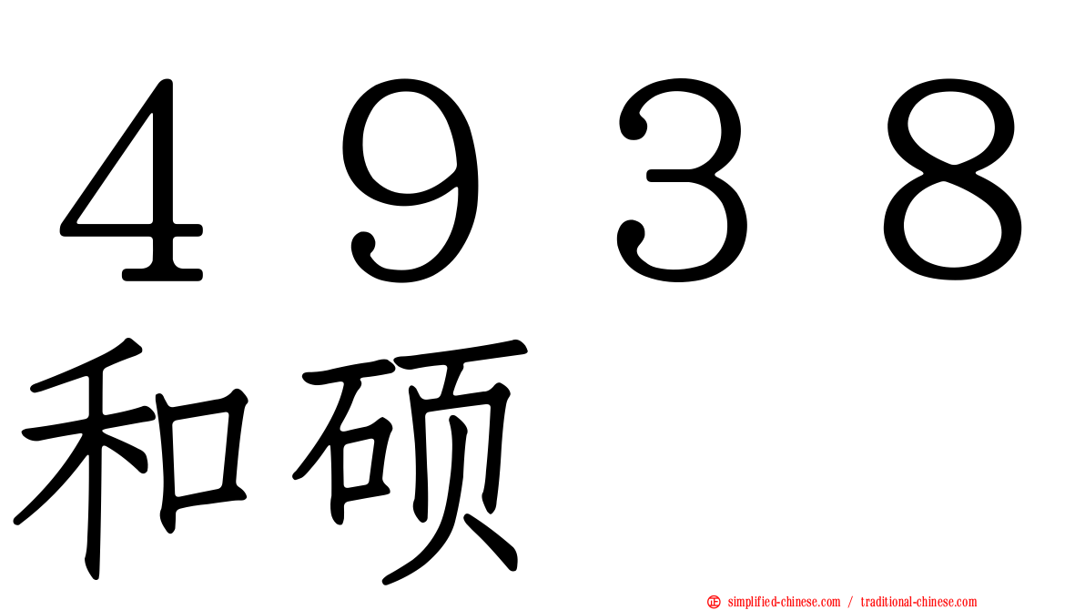 ４９３８和硕