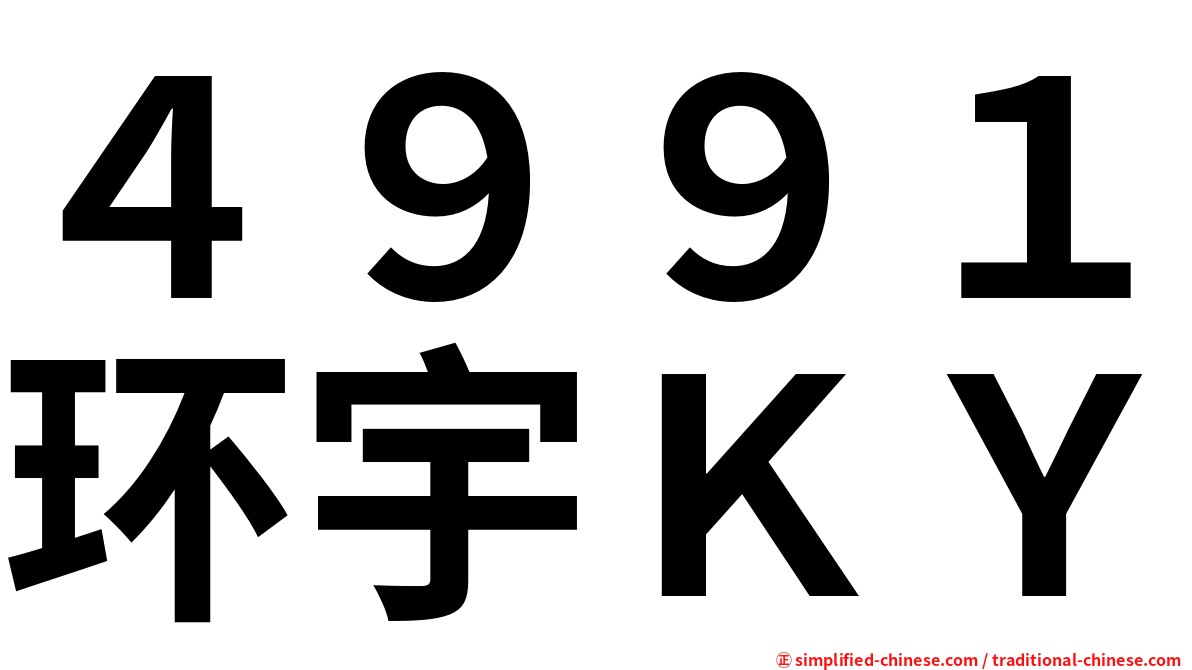 ４９９１环宇ＫＹ