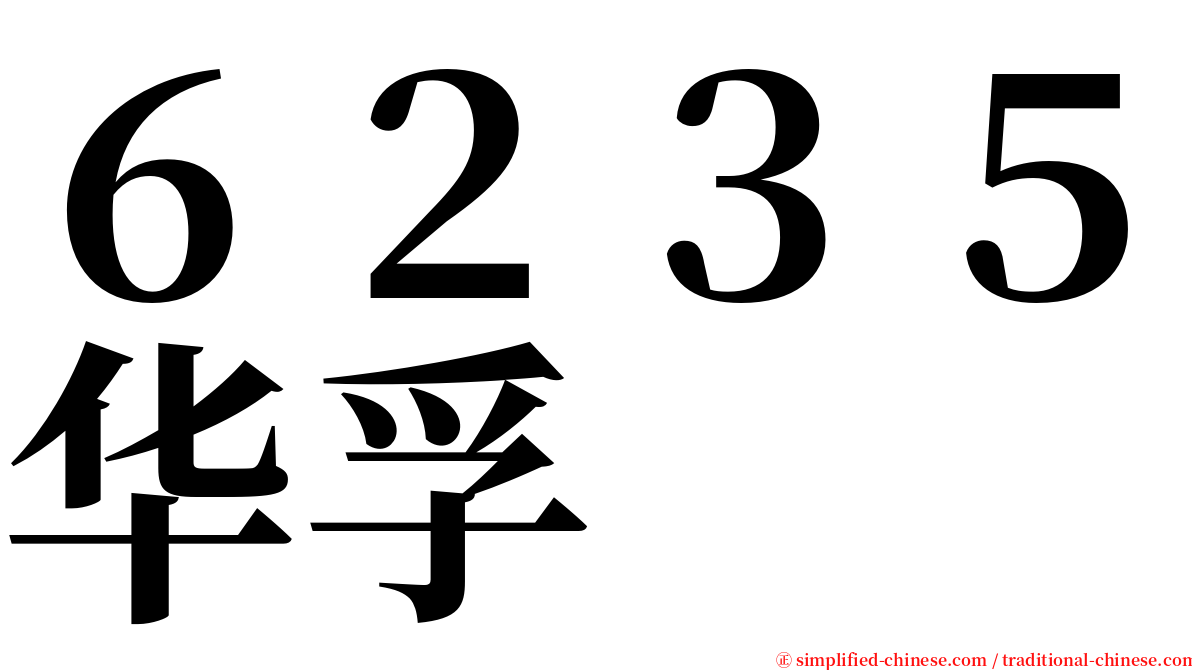 ６２３５华孚 serif font