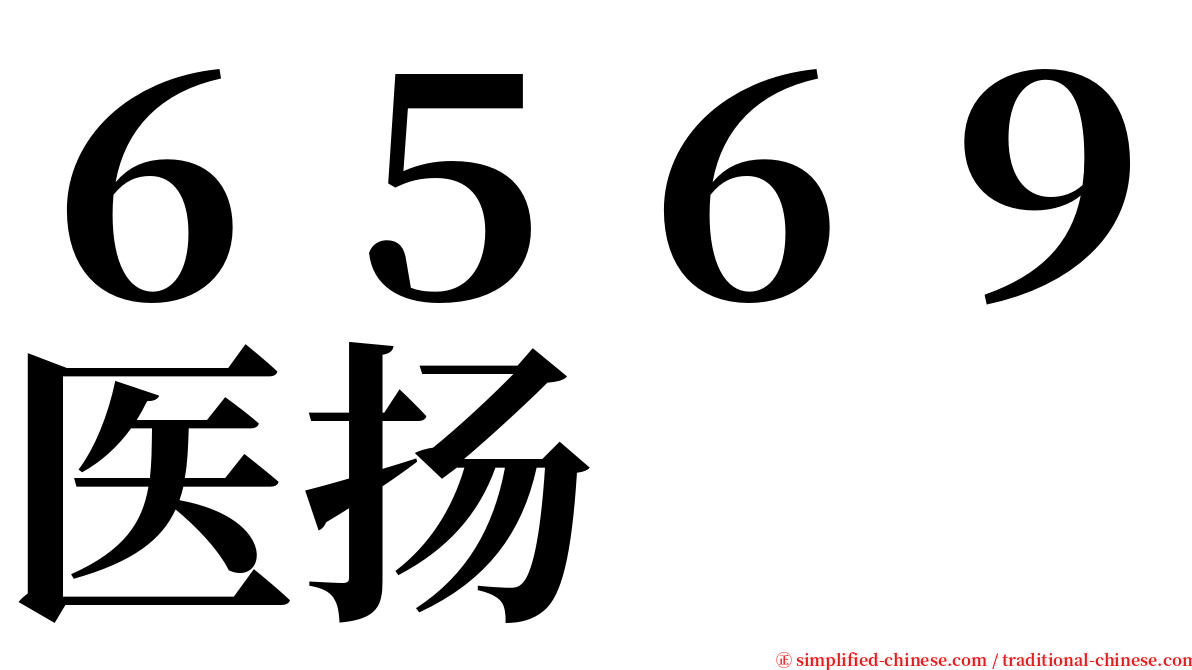 ６５６９医扬 serif font