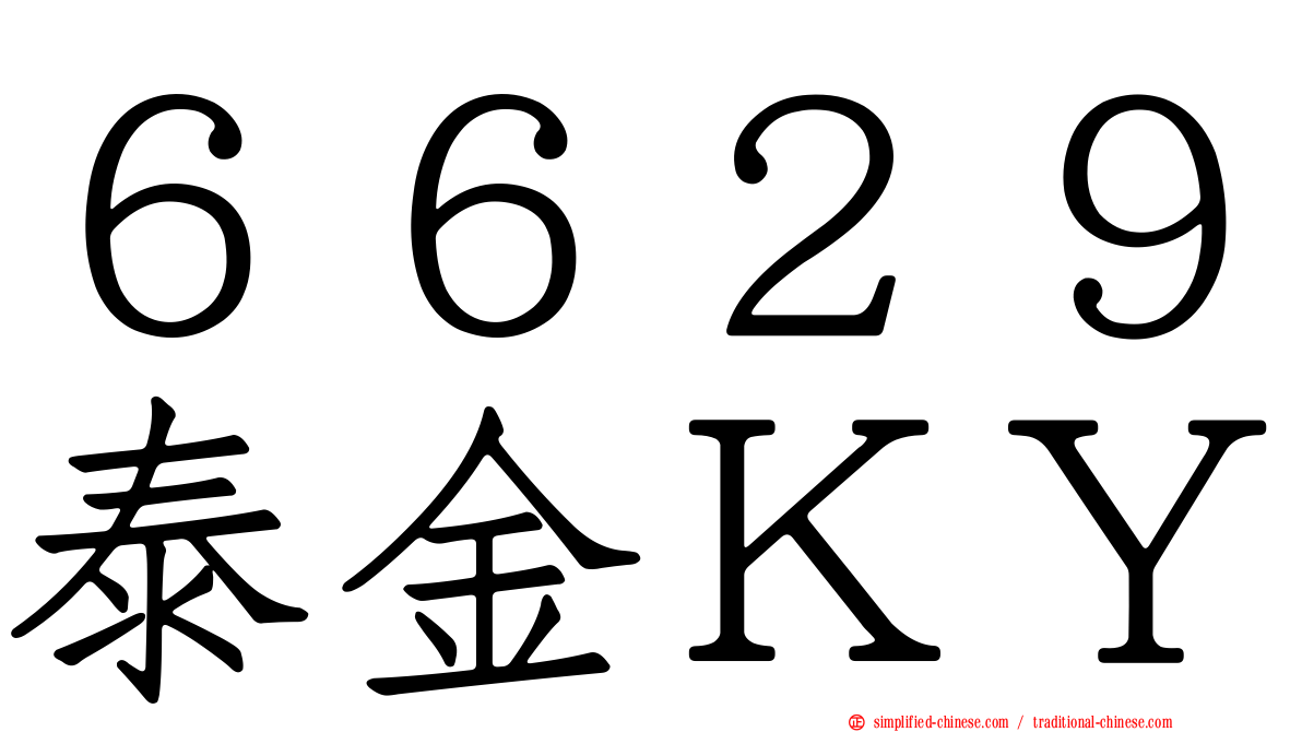 ６６２９泰金ＫＹ
