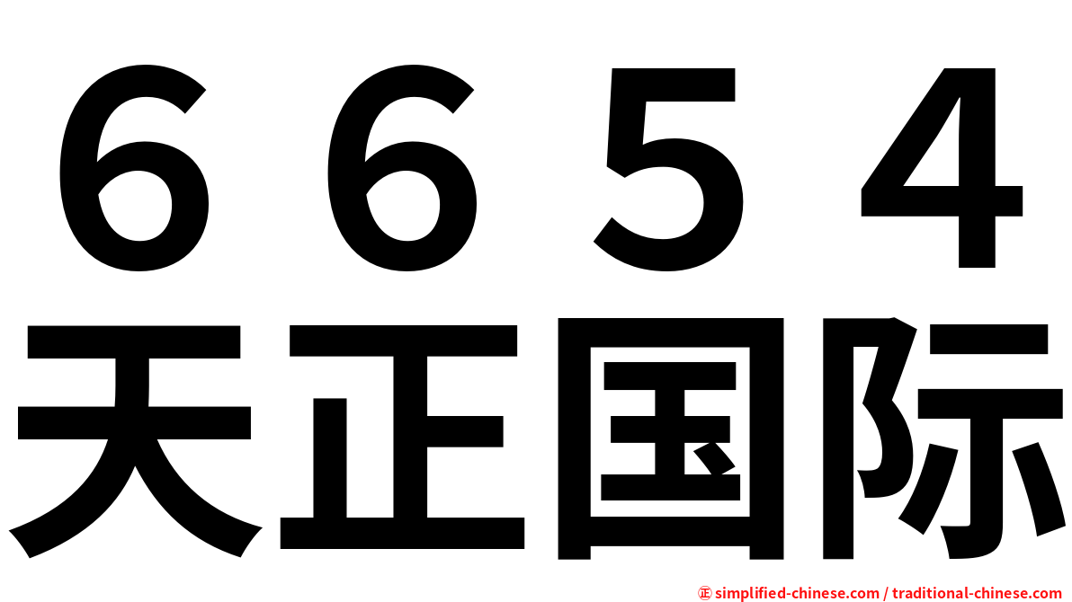 ６６５４天正国际