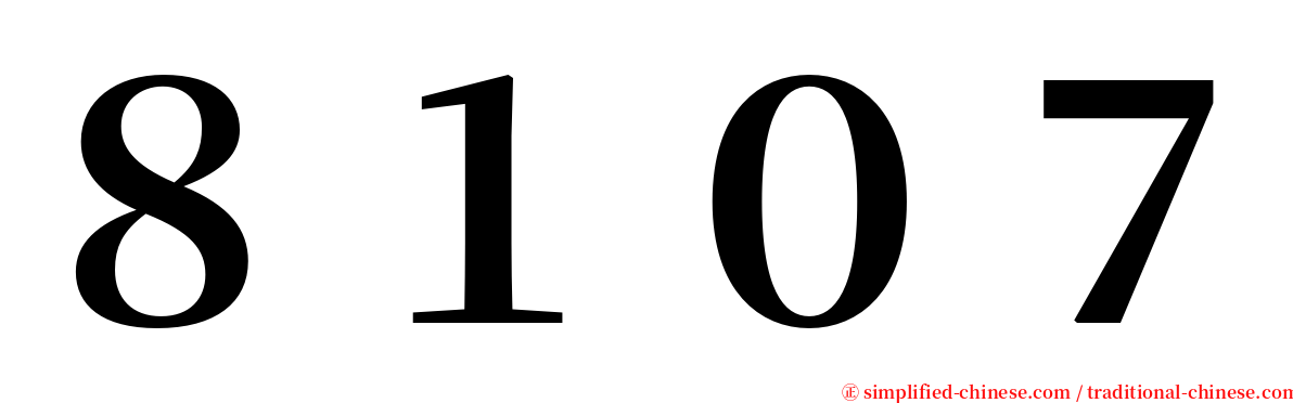 ８１０７ serif font
