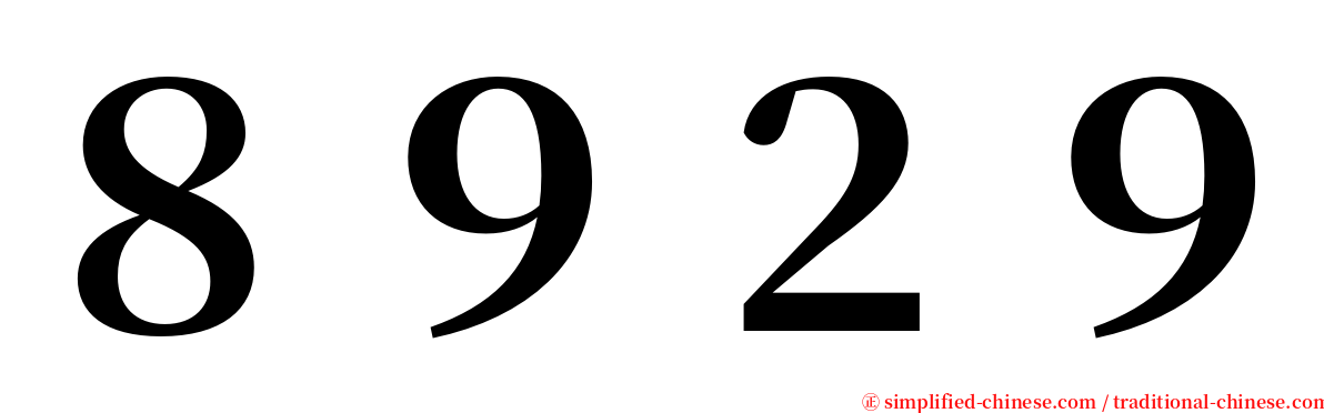 ８９２９ serif font