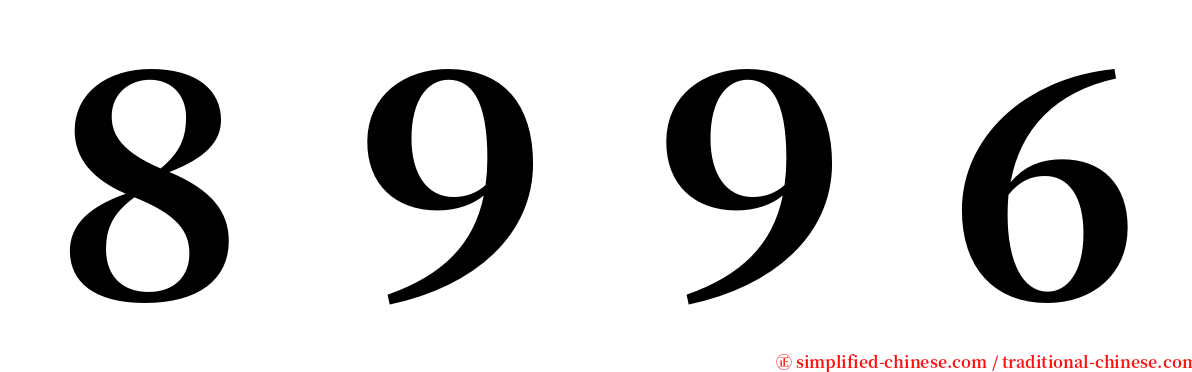 ８９９６ serif font
