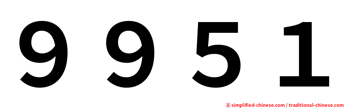 ９９５１