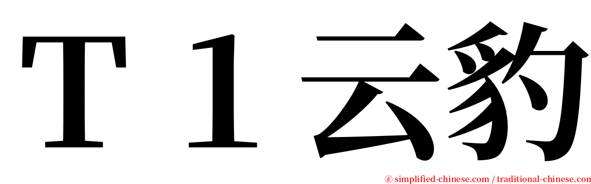 Ｔ１云豹 serif font